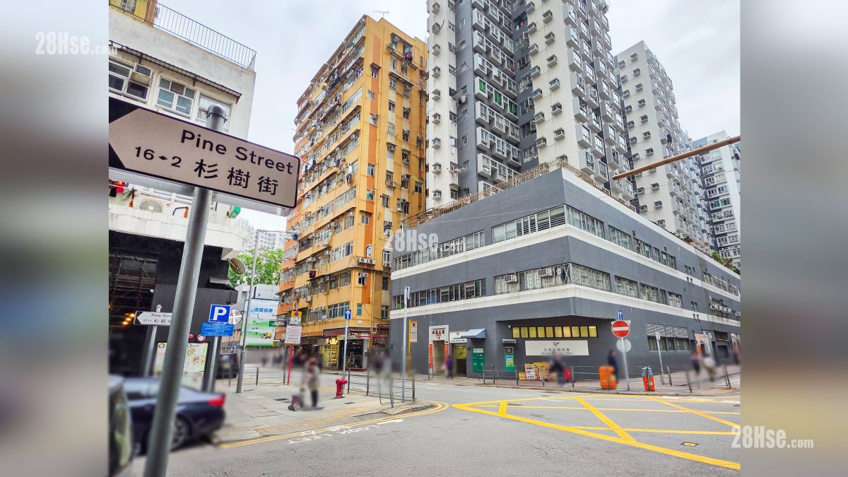 映居 附近街道 杉树街设有邮政局