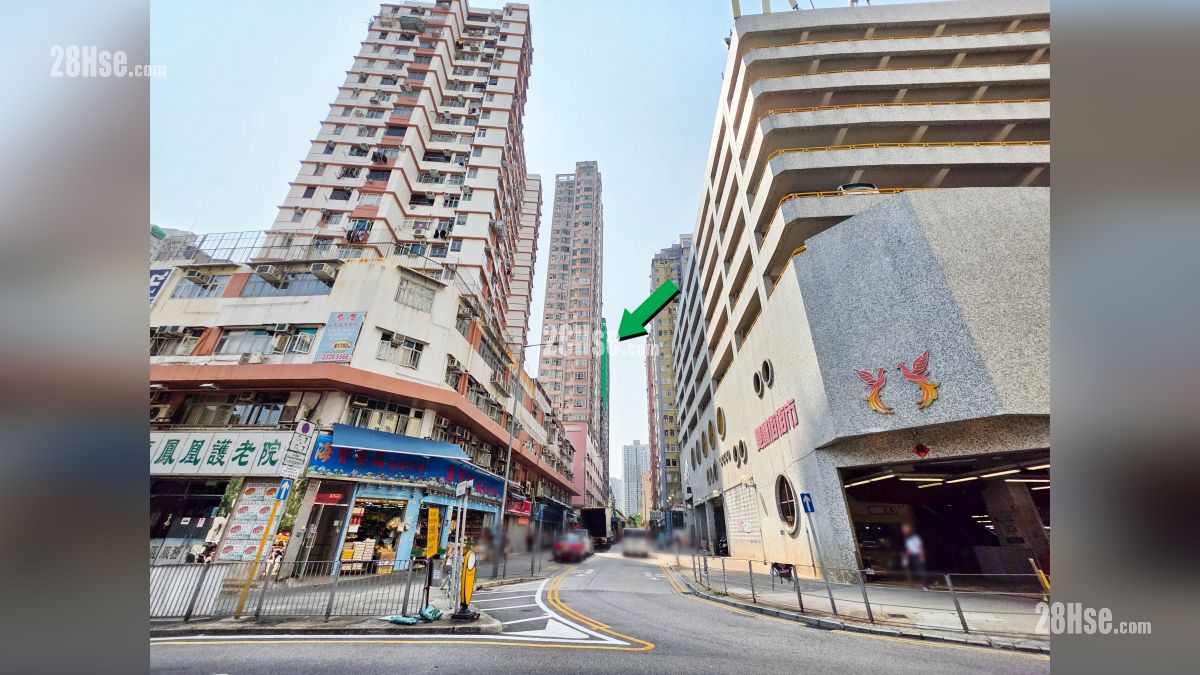荟淳 附近街道 飞凤街与双凤街交界, 项目位于绿色箭嘴部分