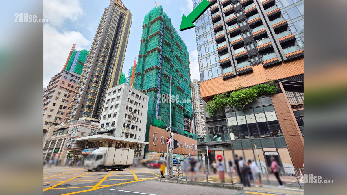 項目 (綠色箭嘴部分) 外的新柳街與馬頭圍道交界