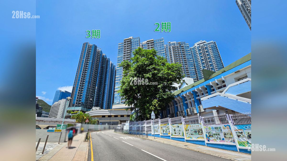 项目期数分布 (从深湾道观看)